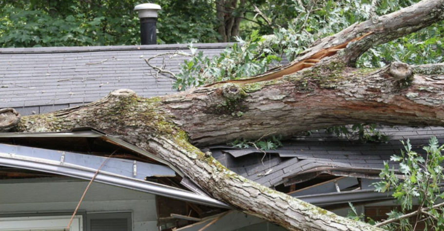 Un árbol cayó sobre una casa tras una tormenta en Quebec. Será retirado por Emondage Quebec.